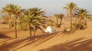 Kameltrekking zu D�nen und Oasen